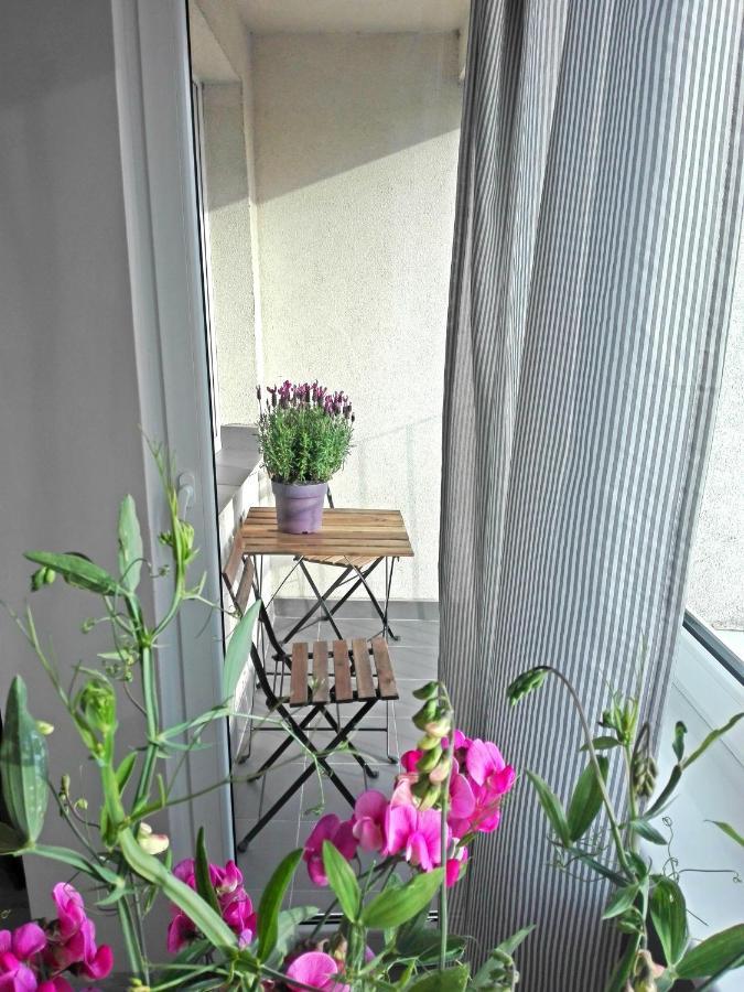Apartment Apartament Sole
